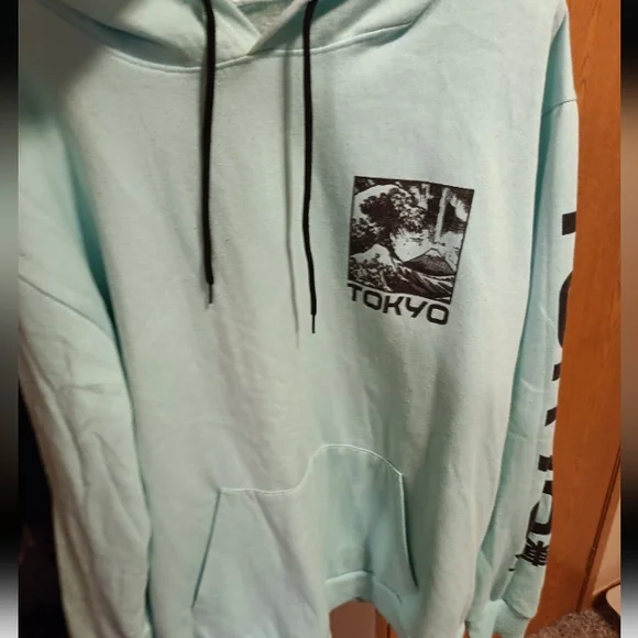 Fresh Laundry Sweaters Mint Green Graphic Hoodie Poshmark